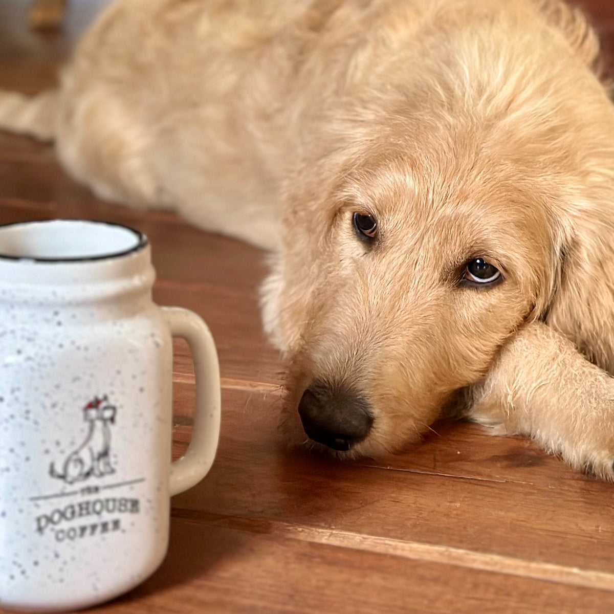 Accessories The Doghouse Coffee