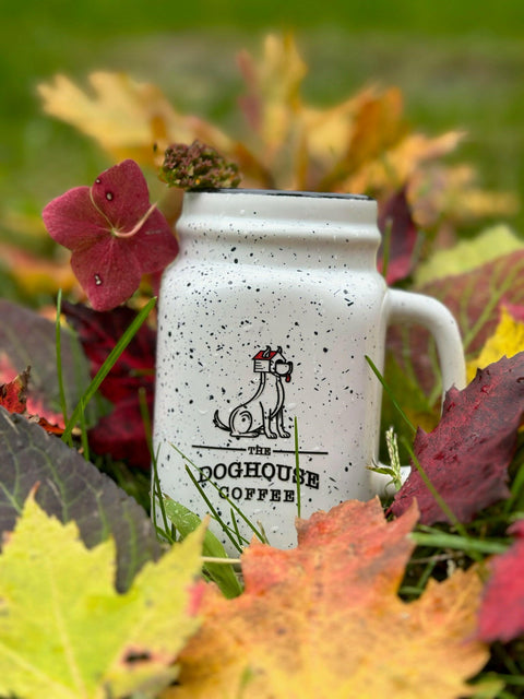 Doghouse Mason Jar Mug.
