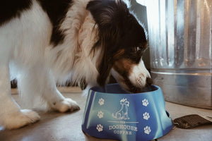 Doghouse Silipint Bowl.