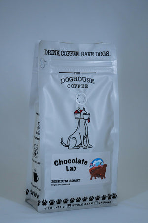 Chocolate Lab.