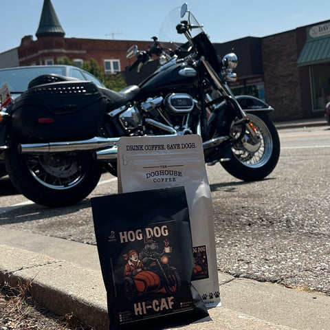 Hog Dog Hi-Caf Roast